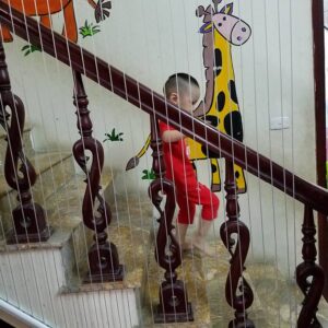 Lưới an toàn cầu thang